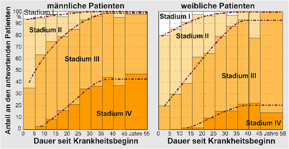 Bild 2: Verteilung der 868 mnnlichen und 405 weiblichen Morbus-Bechterew-Patienten,
die die entsprechenden Fragenbeantworteten, auf die Krankheitsstadien in Abhngigkeit
von der Dauer seit Auftreten der ersten Symptome. Weibliche Patienten versteifen im
Mittel erheblich langsamer und weniger vollstndig als mnnliche