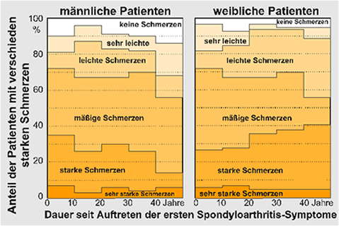 Bild 3: Verteilung der 922 mnnlichen und 478 weiblichen Spondylitis-ankylosans-Patienten, welche die entsprechenden Fragen beantworteten, auf unterschiedliche Schmerzstrken in Abhngigkeit von der Dauer seit dem Auftreten der ersten Spondylitis-Symptome. Bei mnnlichen Patienten geht der Anteil mit starken Schmerzen nach 40 Krankheitsjahren auf etwa die Hlfte zurck, whrend bei weiblichen Patienten die Hufigkeit starker Schmerzen eher noch zunimmt.