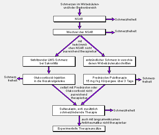 Bild 2: Flussdiagramm der medikamentsen Therapie der Entzndung im Bereich der Wirbelsule und/oder der Iliosakralgelenke