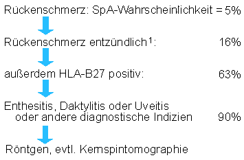 Bild 3:Diagnoseschema fr die Frhdiagnose einer Spondyloarthritis nach M. RUDWALEIT (vereinfacht): Wenn der Rckenschmerz entzndlich und der HLA-B27 positiv ist, handelt es sich mit 63% Wahrscheinlichkeit um eine Spondyloarthritis (SpA). Endgltige Gewissheit schafft der Rheumatologe an Hand von Rntgenaufnahmen