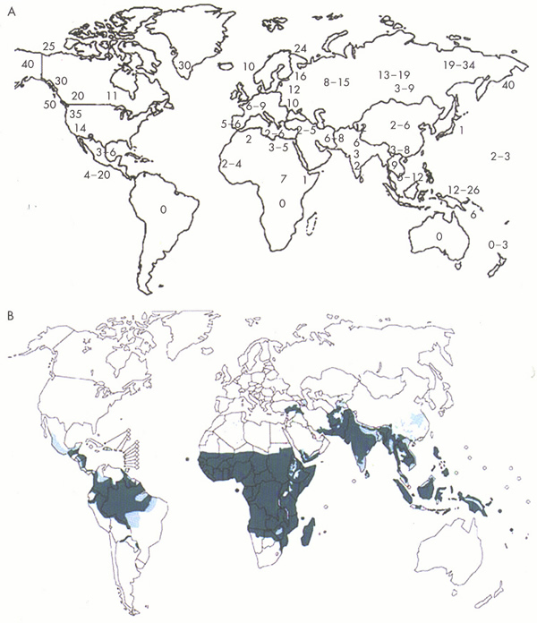 Bild 1: A) Geographische Hufigkeitsverteilung des Erbfaktors
HLA-B27 in Prozent nach M. A. Khan (Bechterew-Brief Nr. 75 S. 6). B) Gegenden, in denen Malaria besonders verbreitet ist,
nach Internet-Angaben der WHO (World Health Organisation).